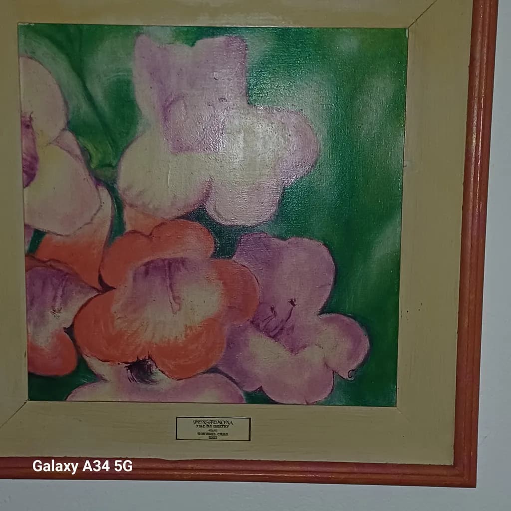 Floral Harmony