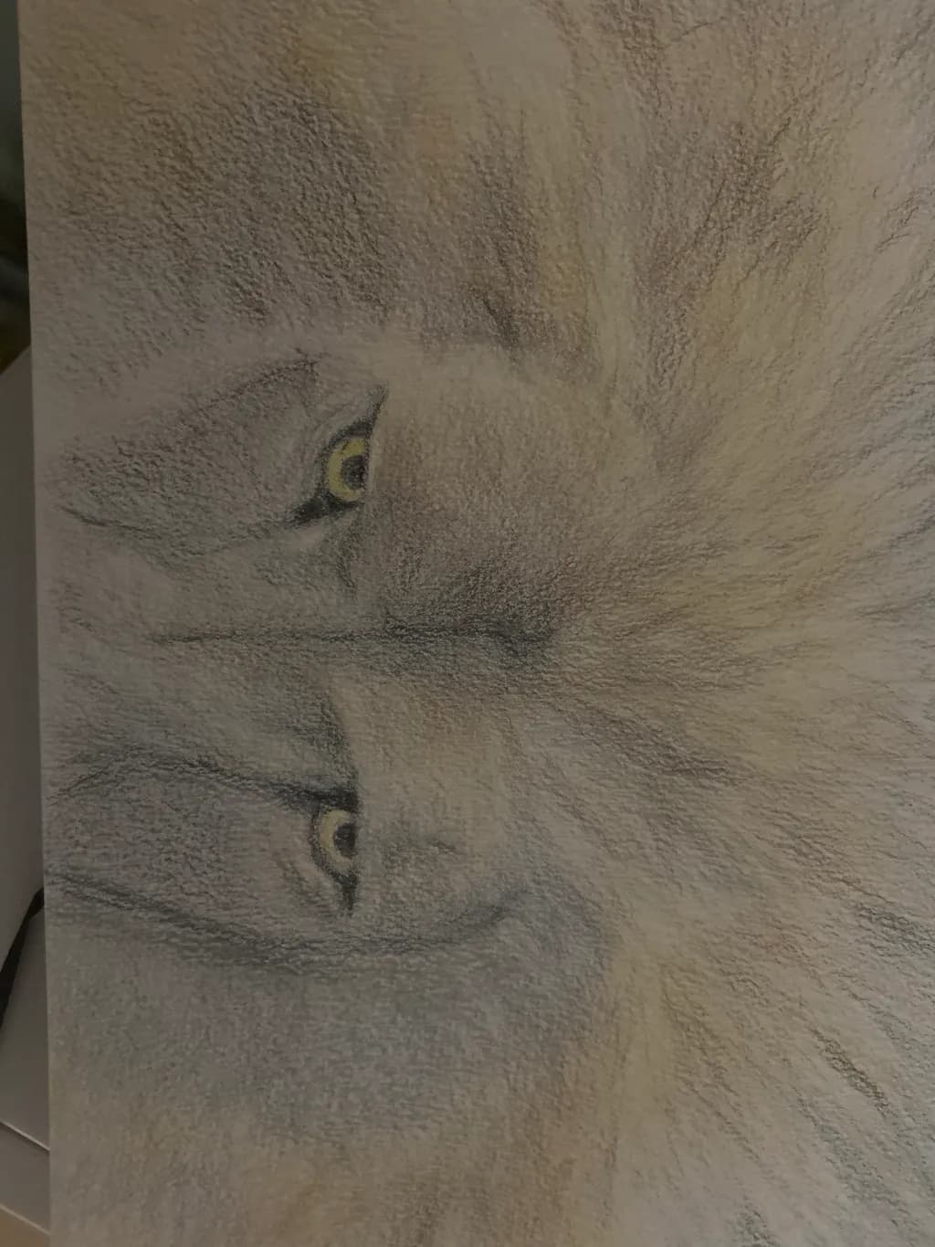 Silent Gaze