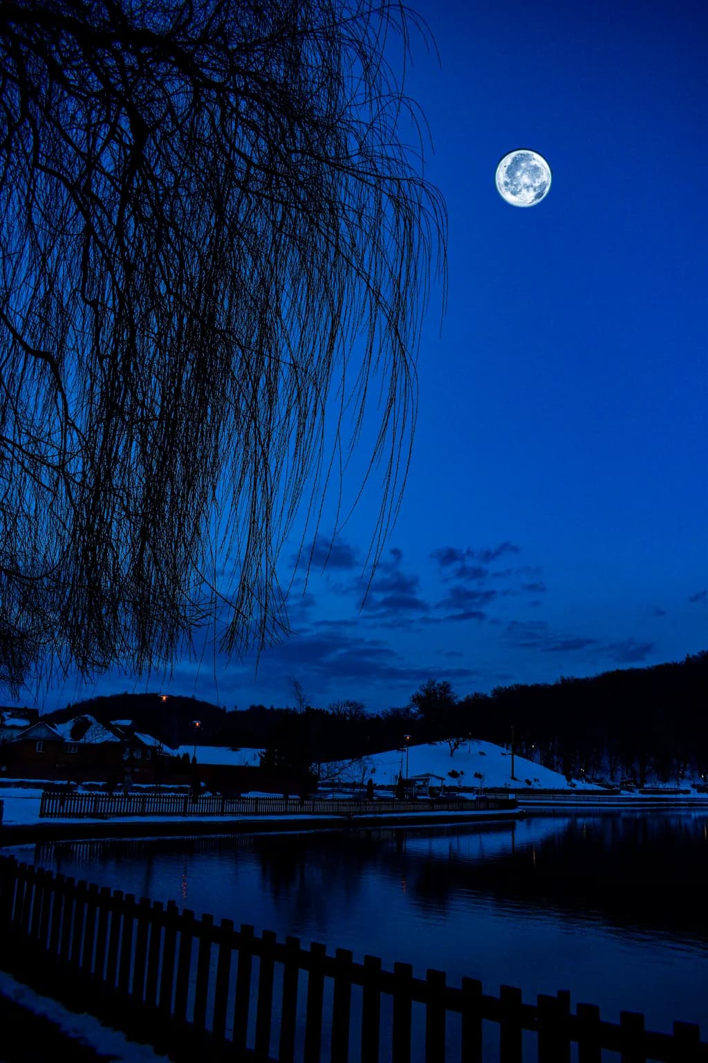 Moonlit Reflection
