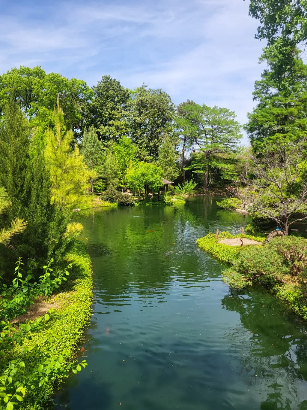 Green Oasis Pond