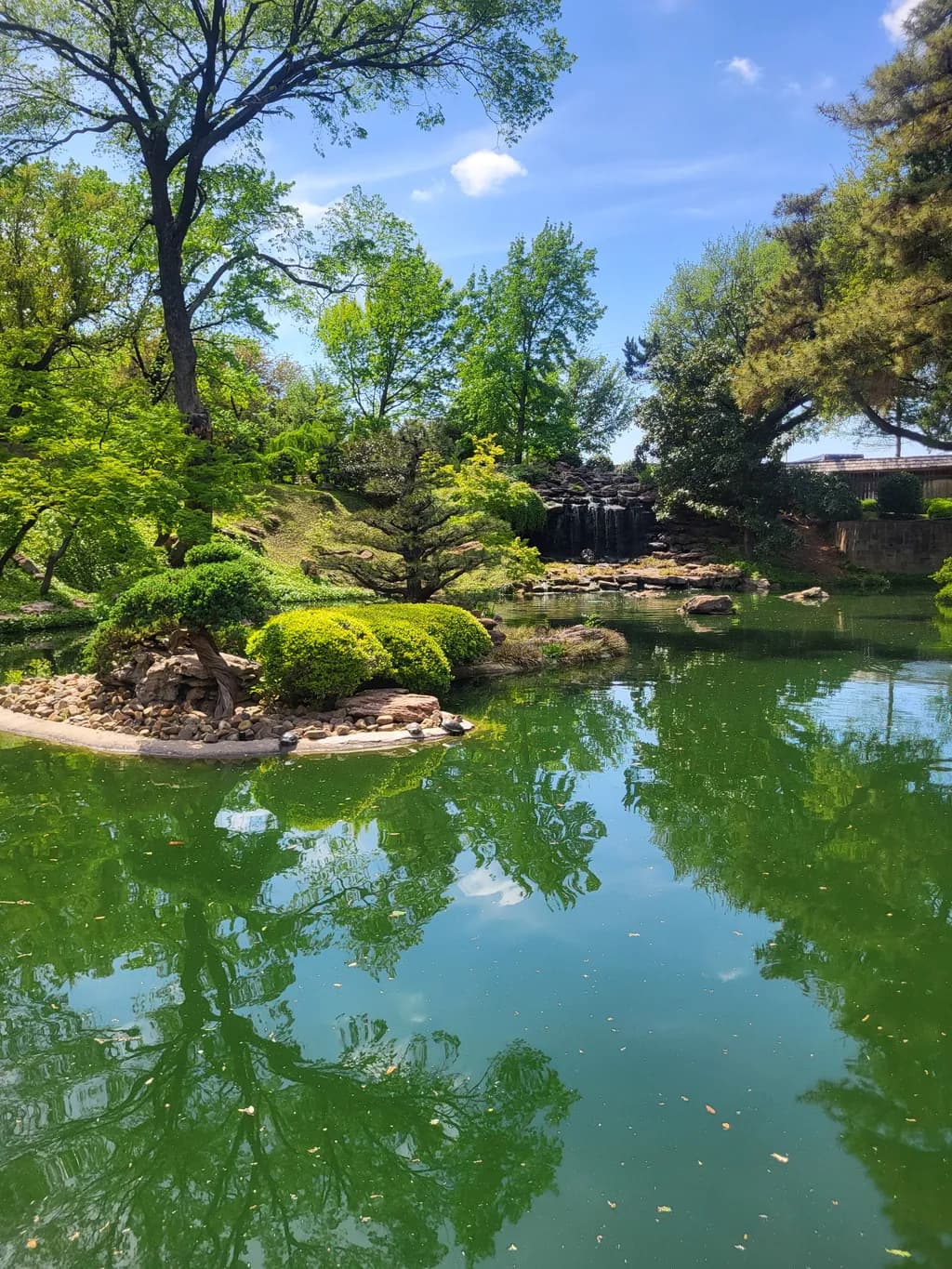 Garden Reflection
