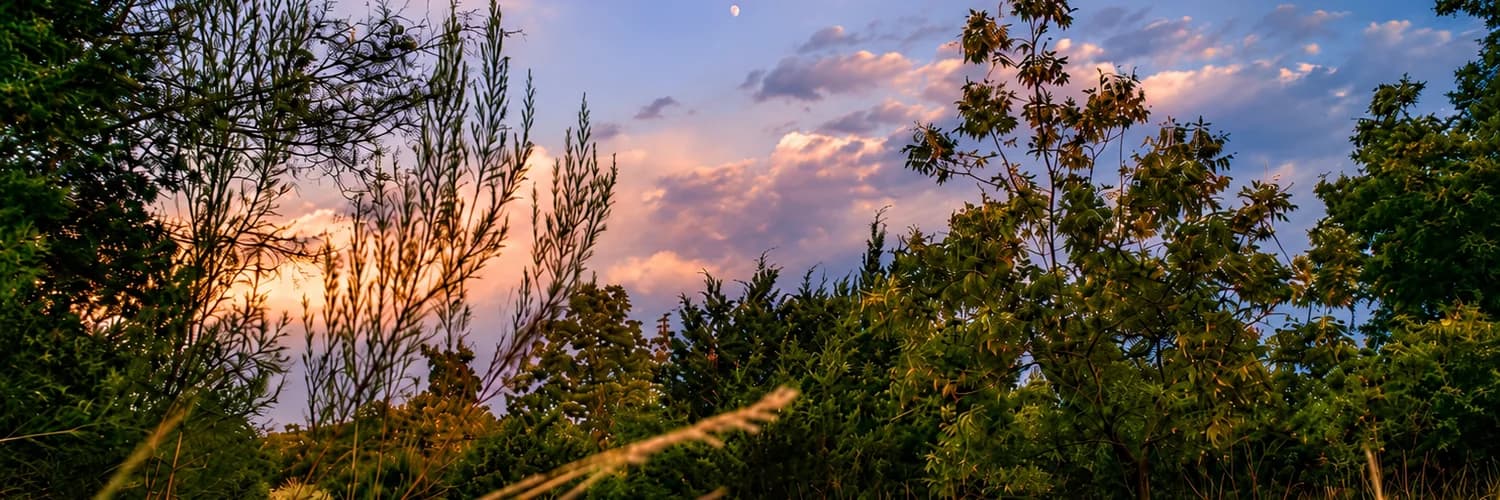 Profilbanner