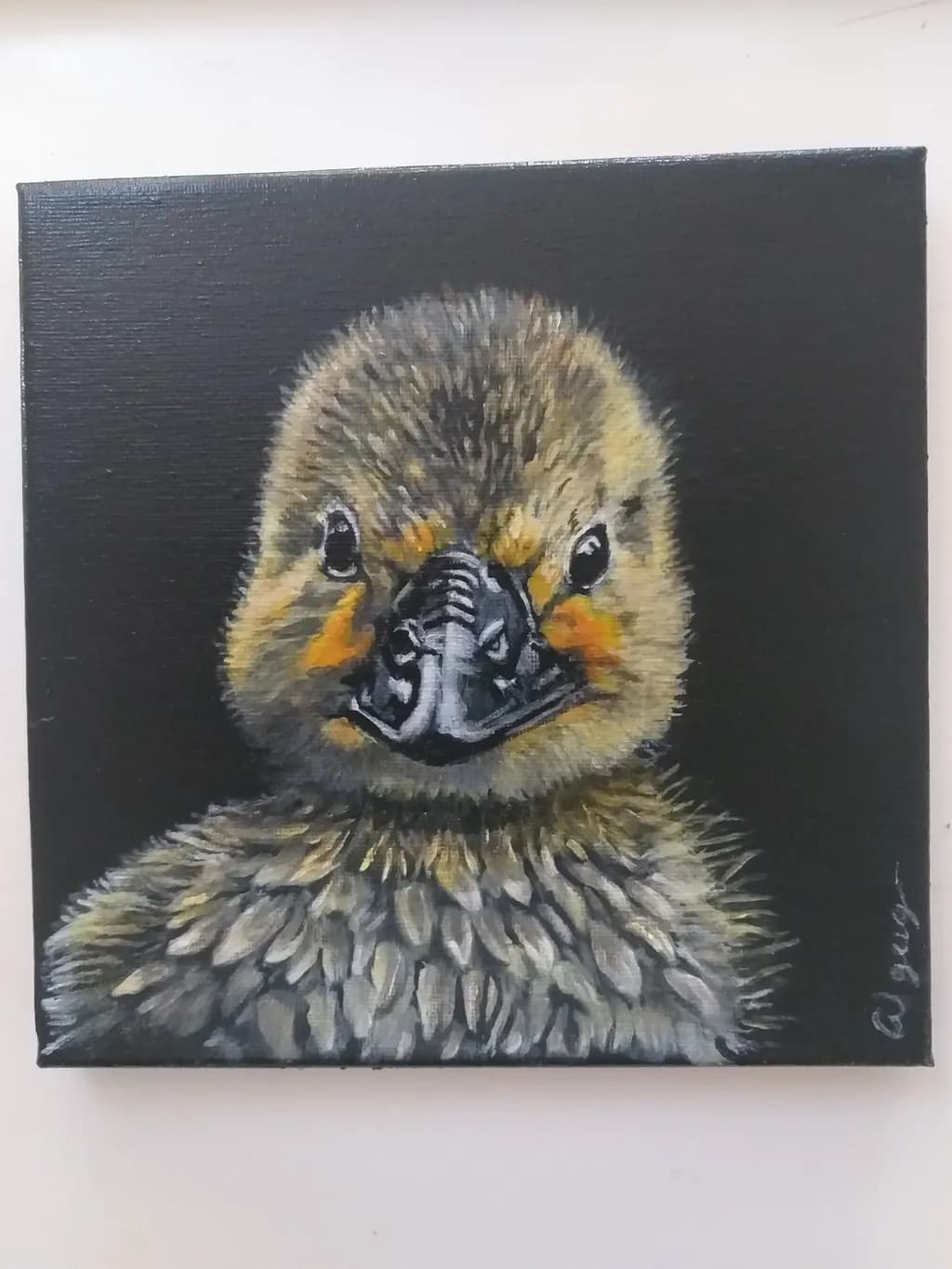 Curious Duckling