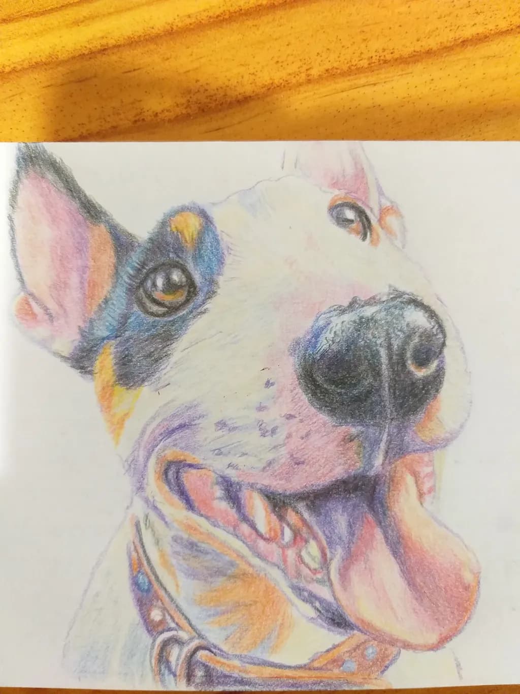 Joyful Pup