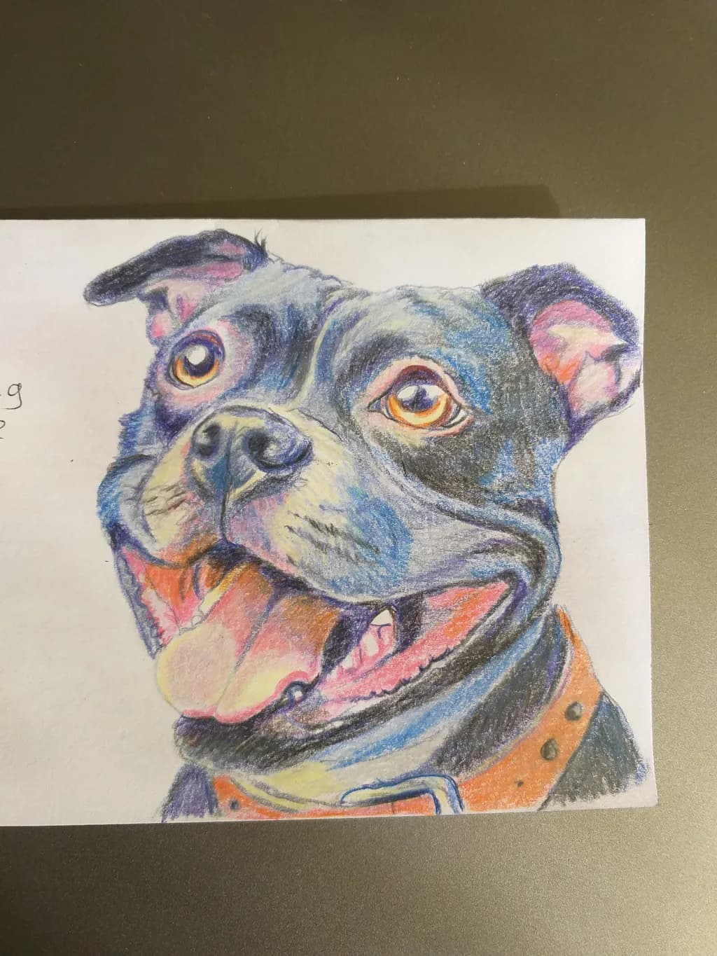 Joyful Pup