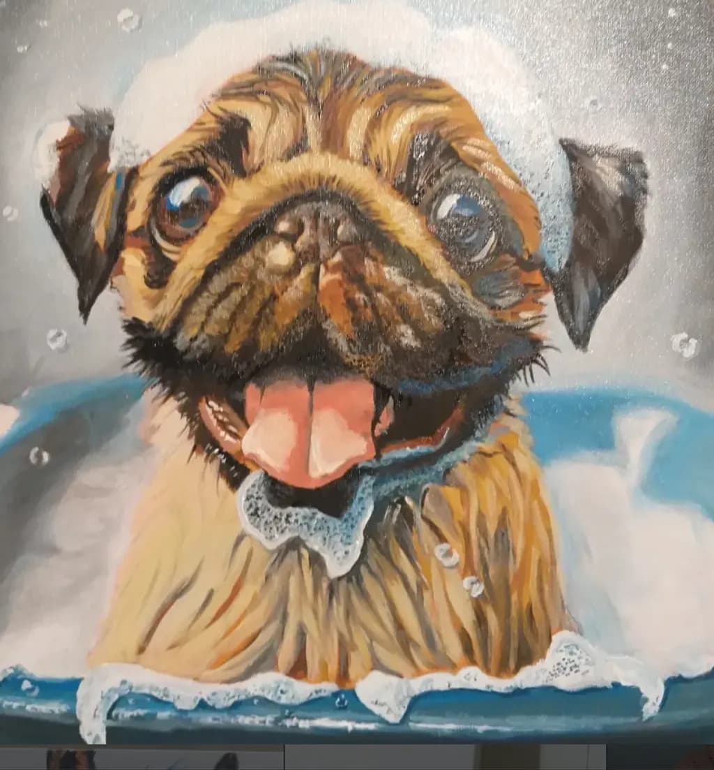 Joyful Pug Bath