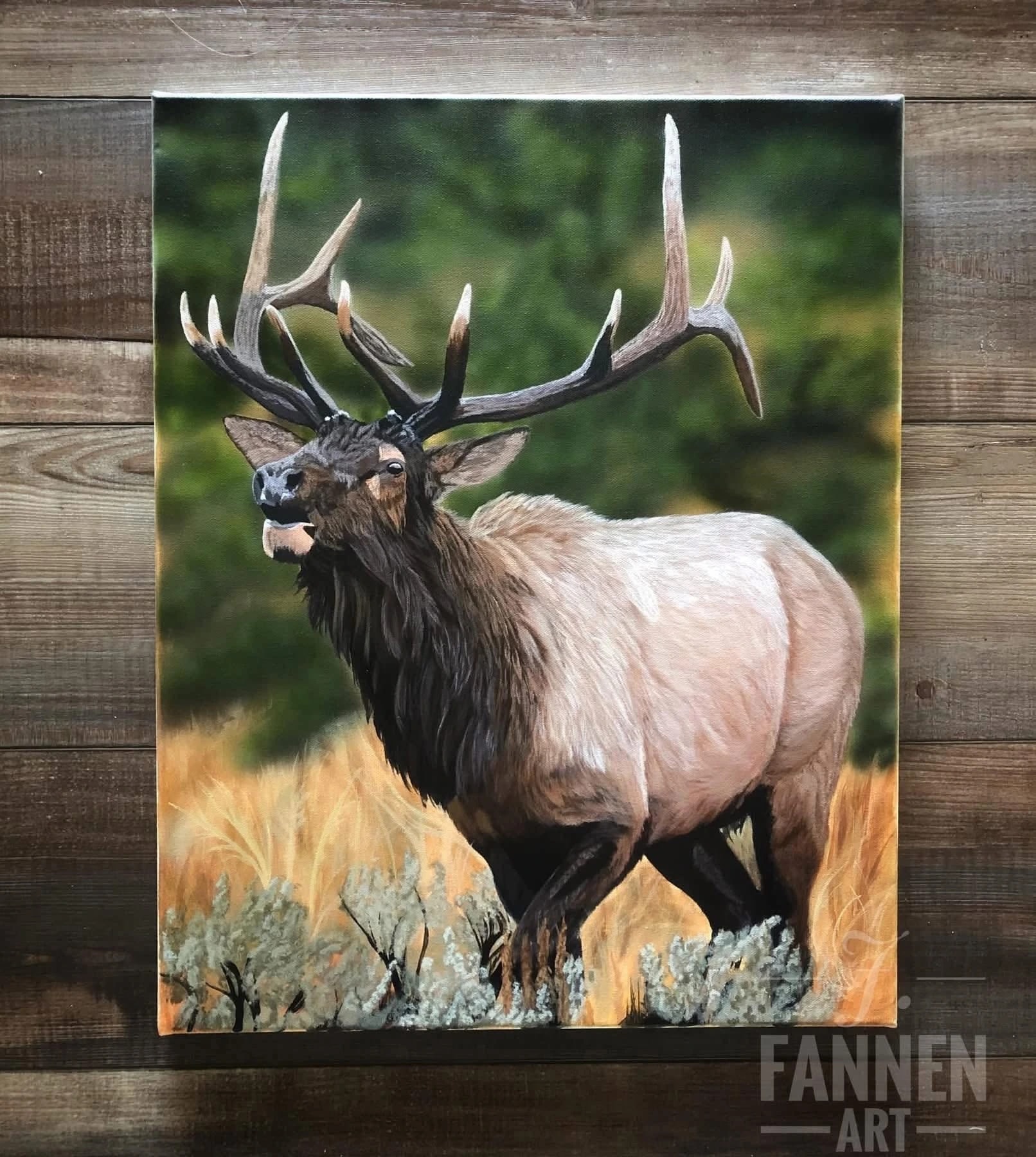 Majestic Elk Call
