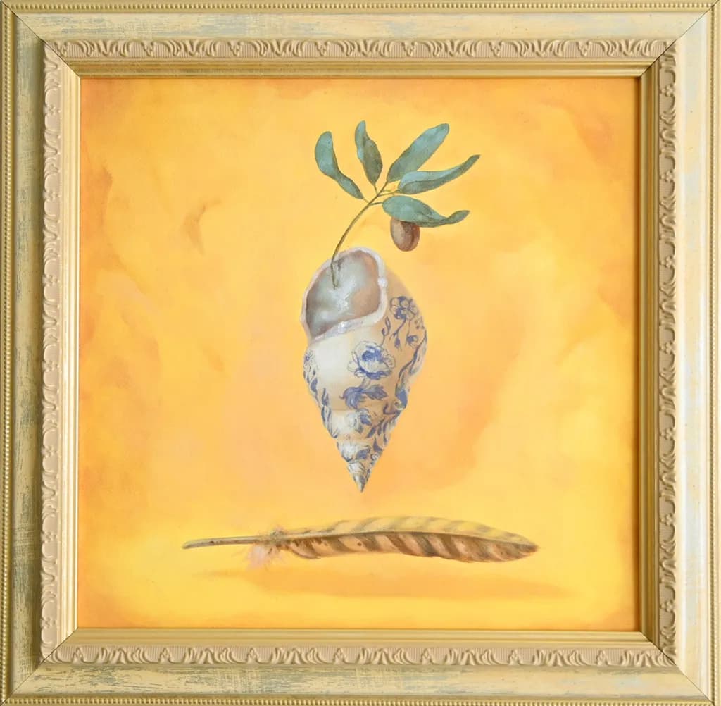 Olive Shell Still Life