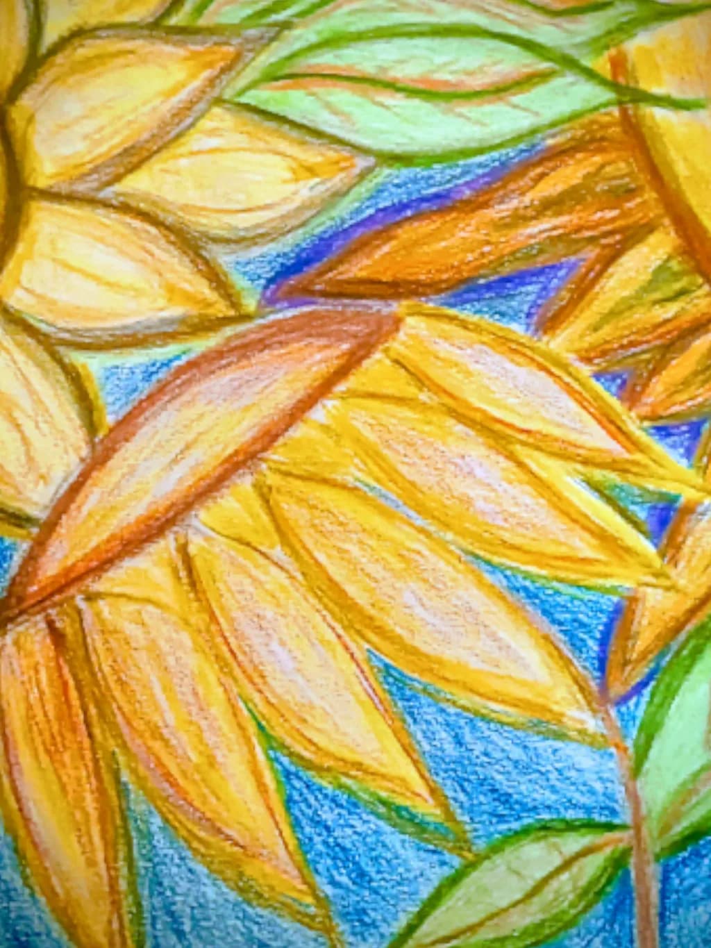 Sunflower Colors