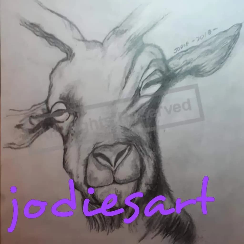 Curious Goat
