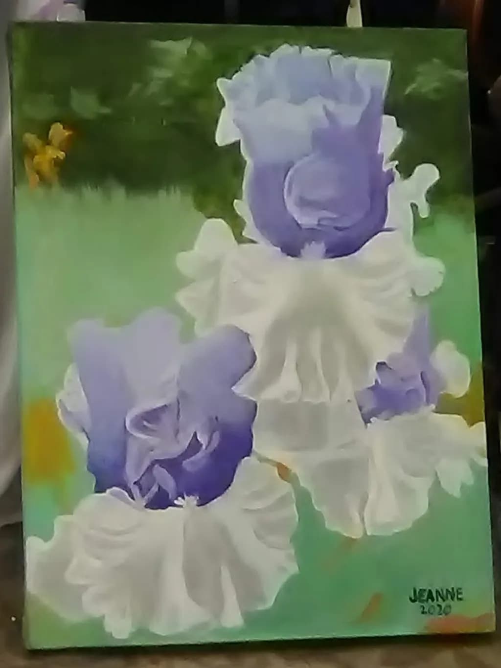 Lavender Ruffles
