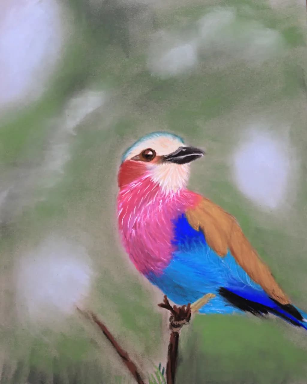 Colorburst Perch