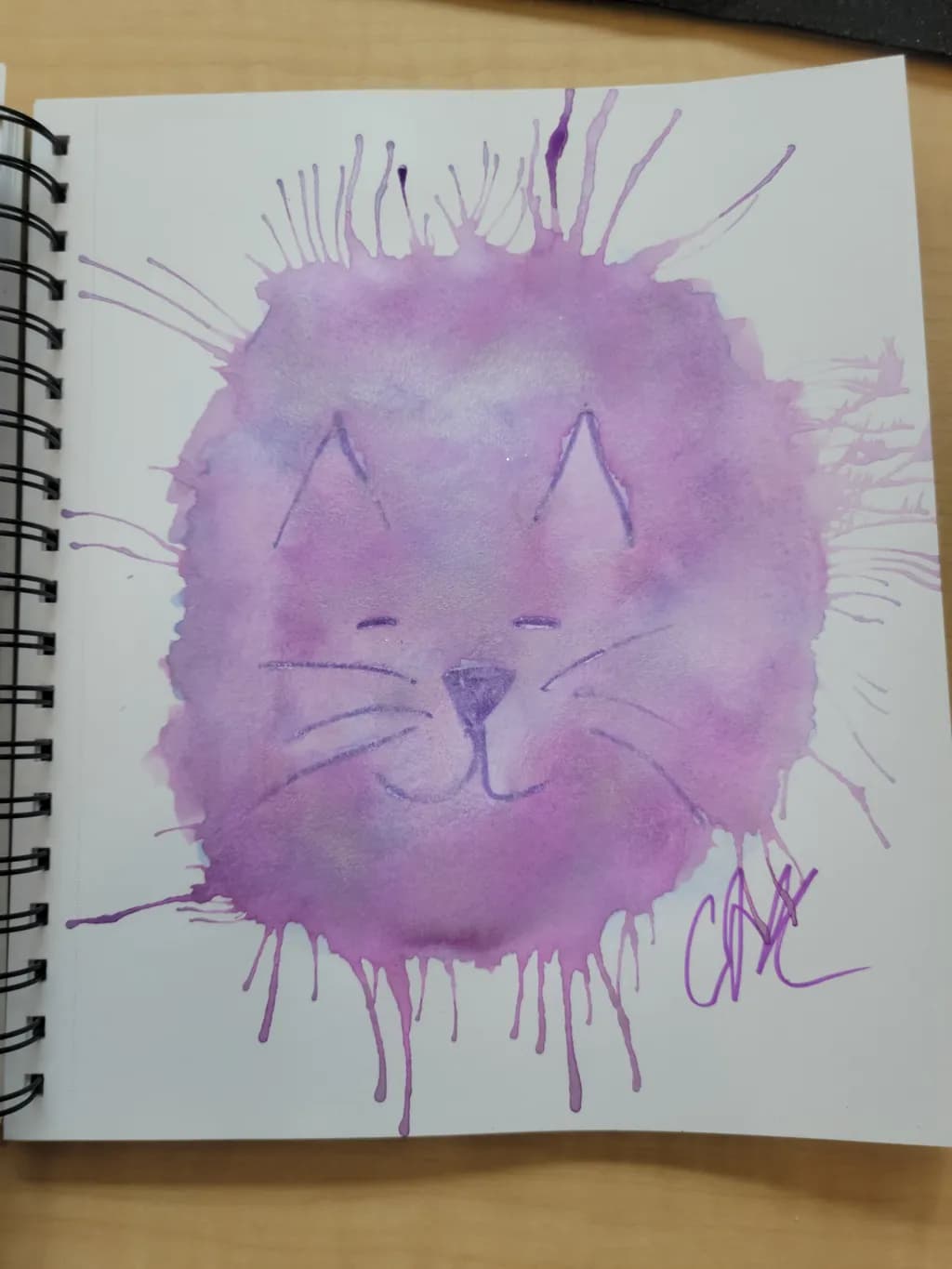 Splash Cat