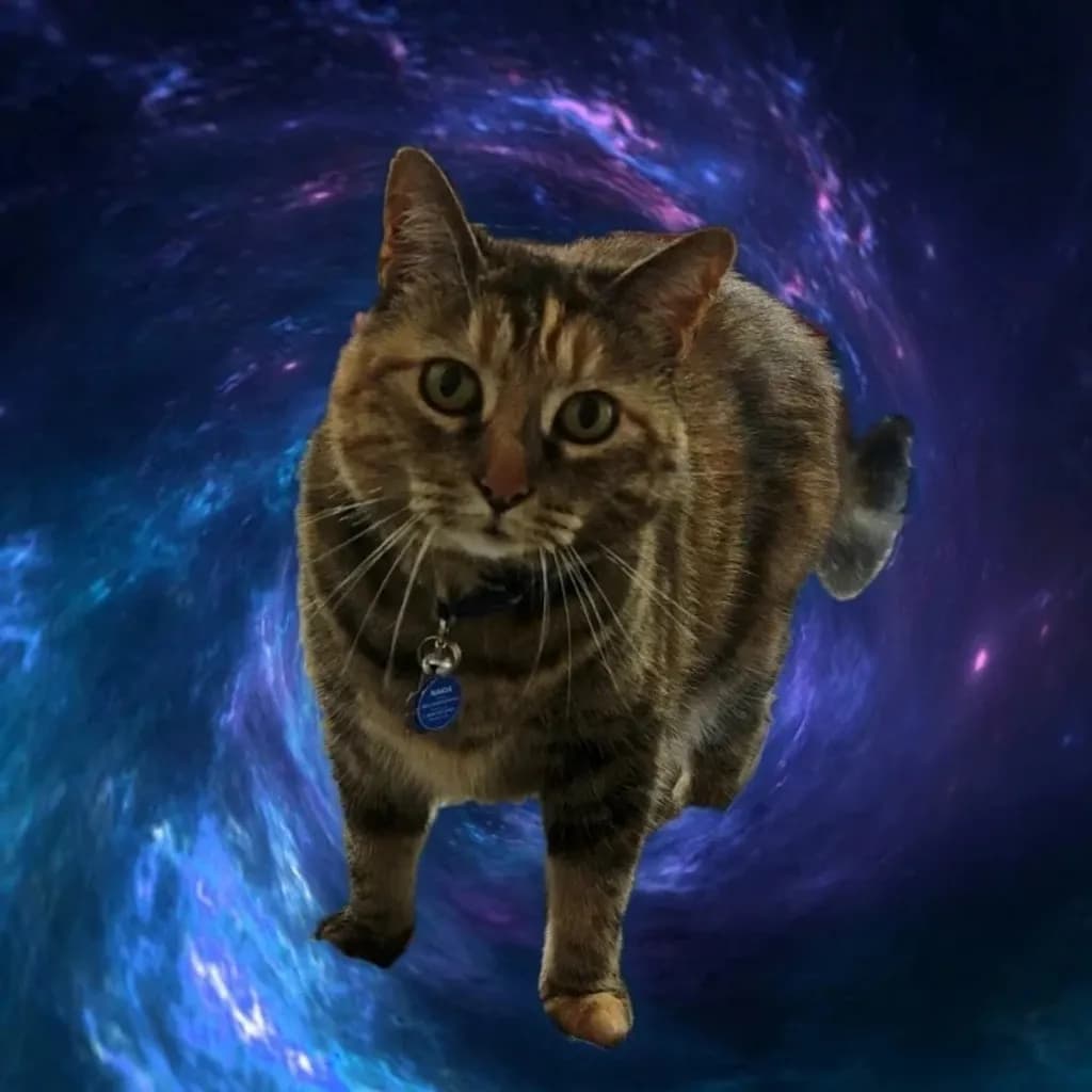 Cosmic Stroll