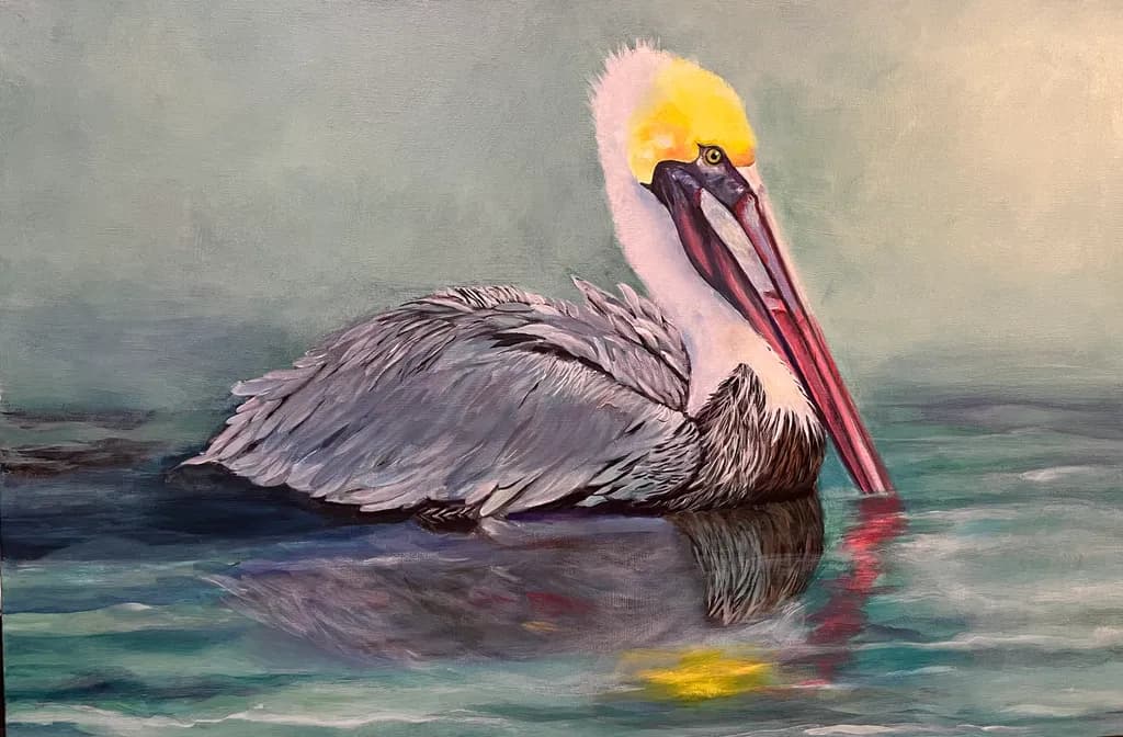 Golden Crown Pelican