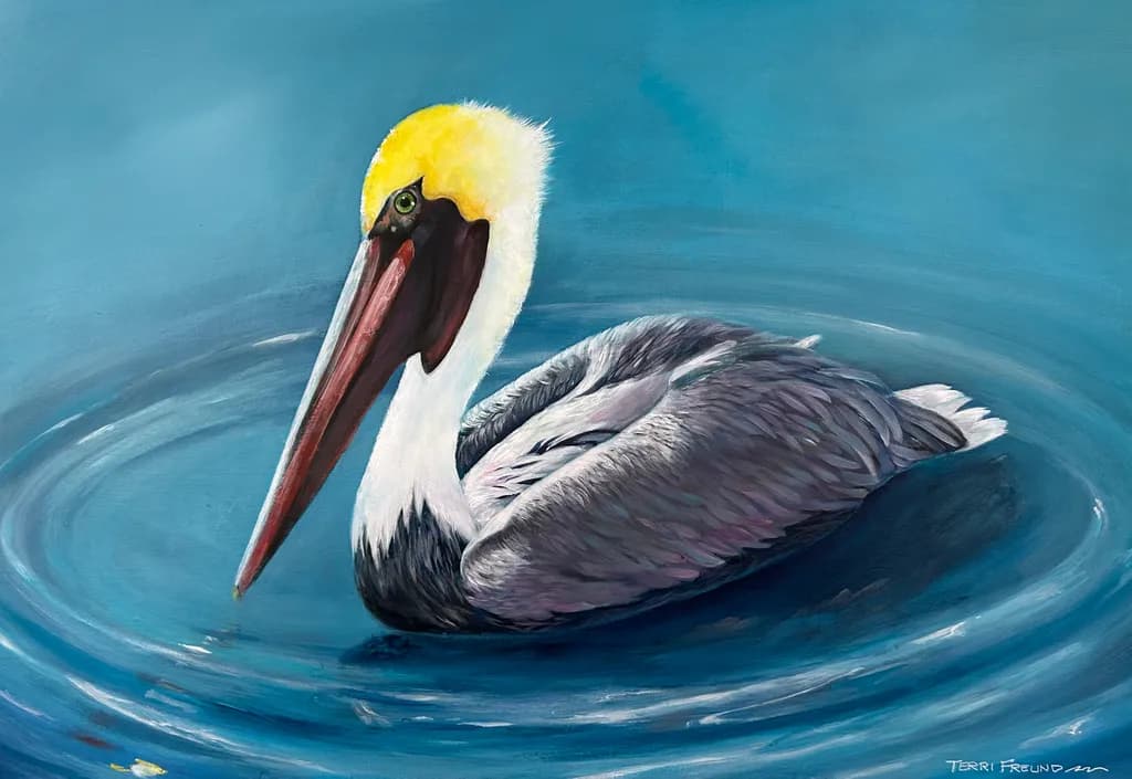 Golden Crown Pelican
