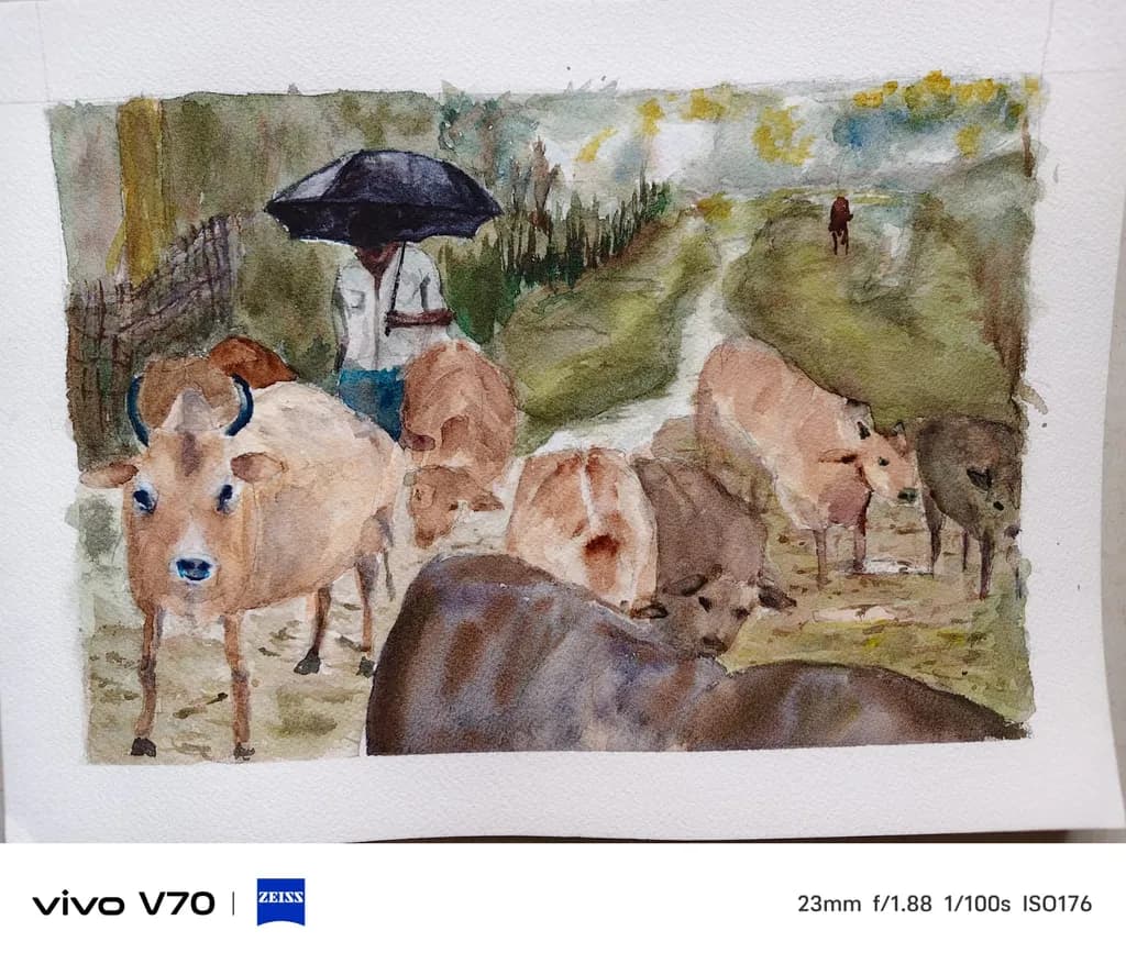 Umbrella and Herd