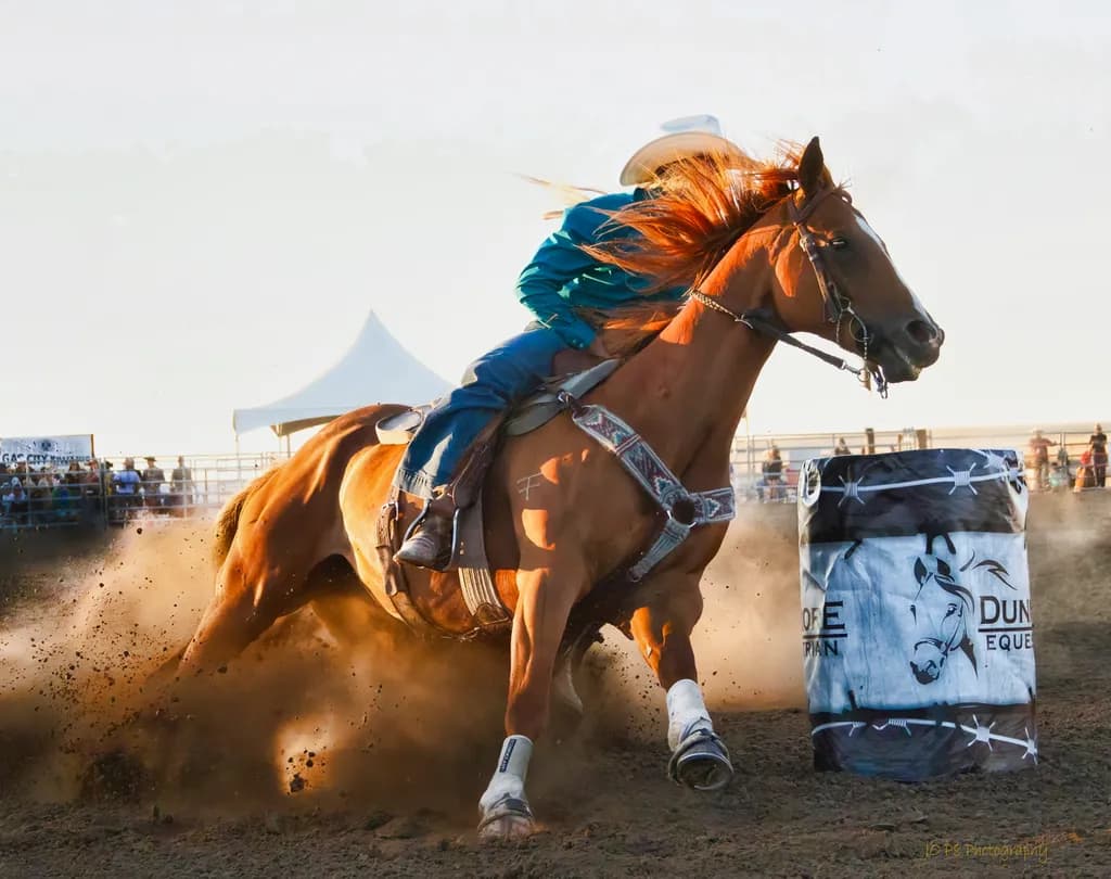 Close-Up Barrel Racer