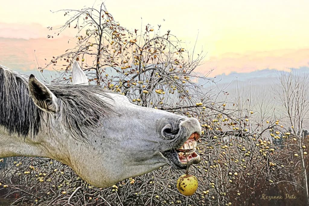 The Apple Tree
