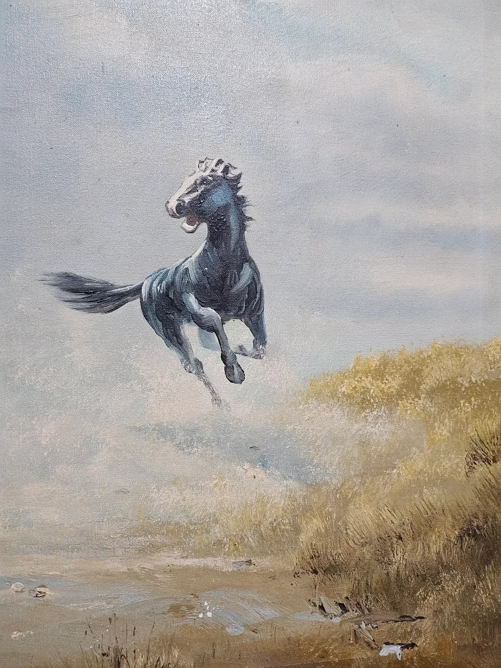 Horse in Motion
