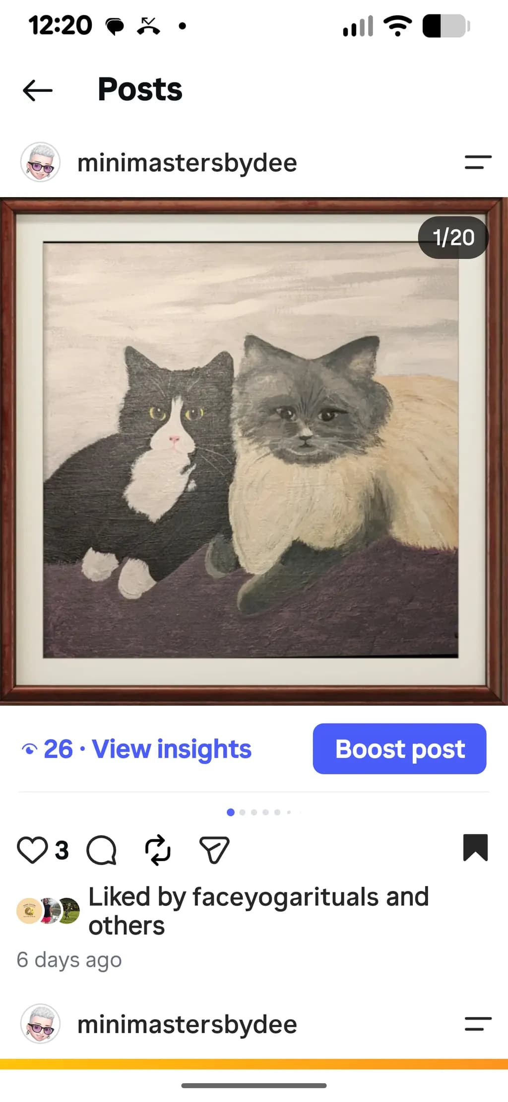 Cats Together