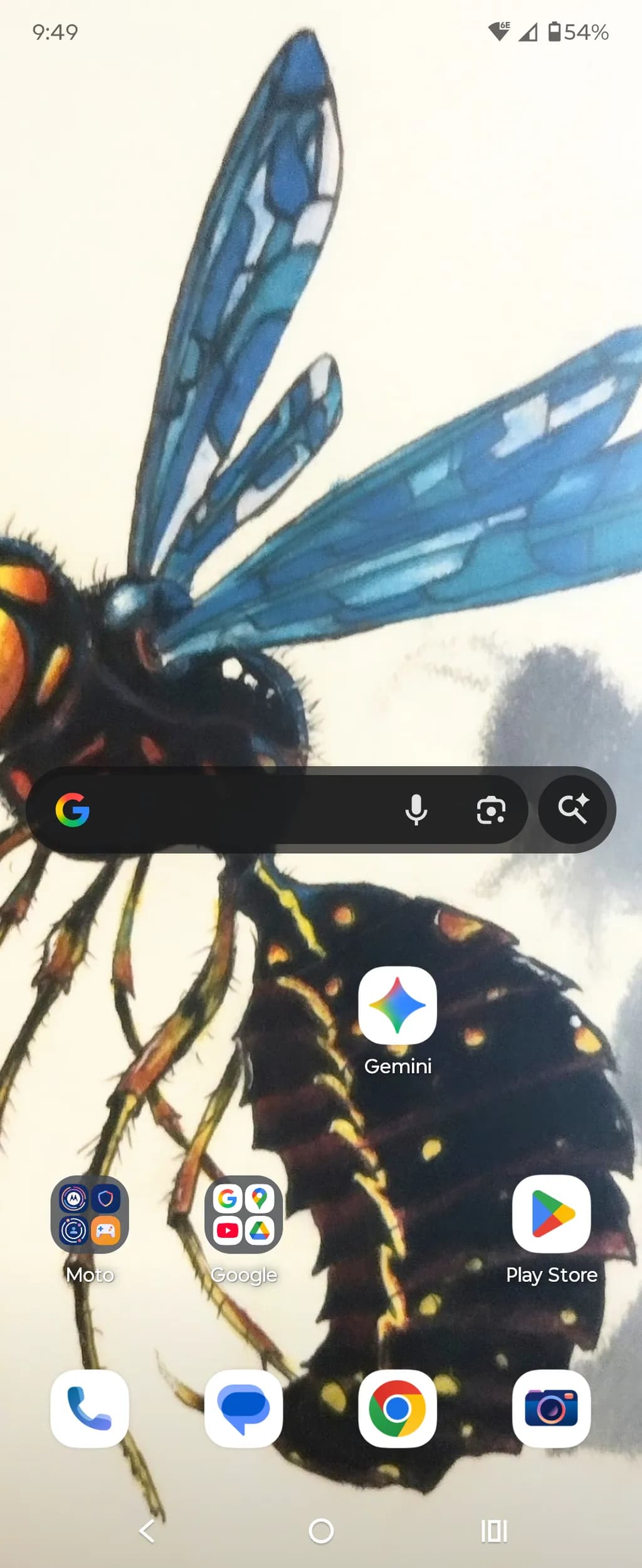 Blue-Winged Wasp
