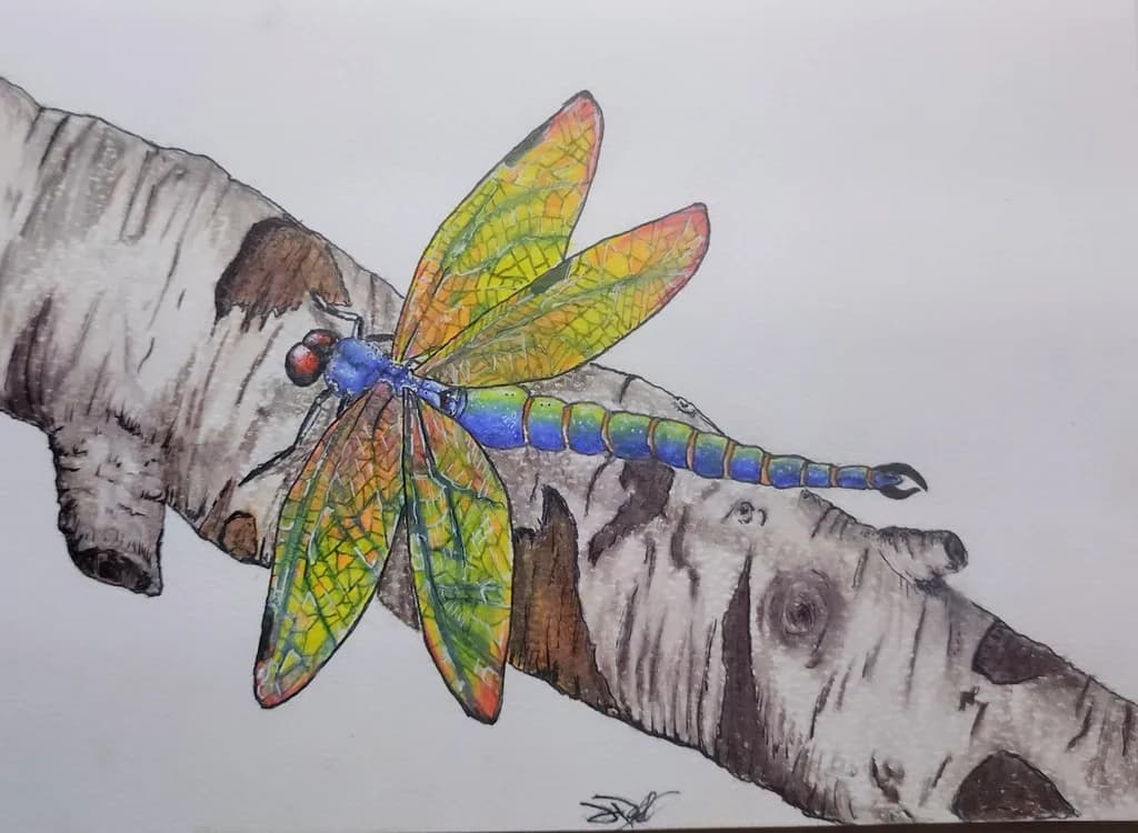 Dragonfly on Branch