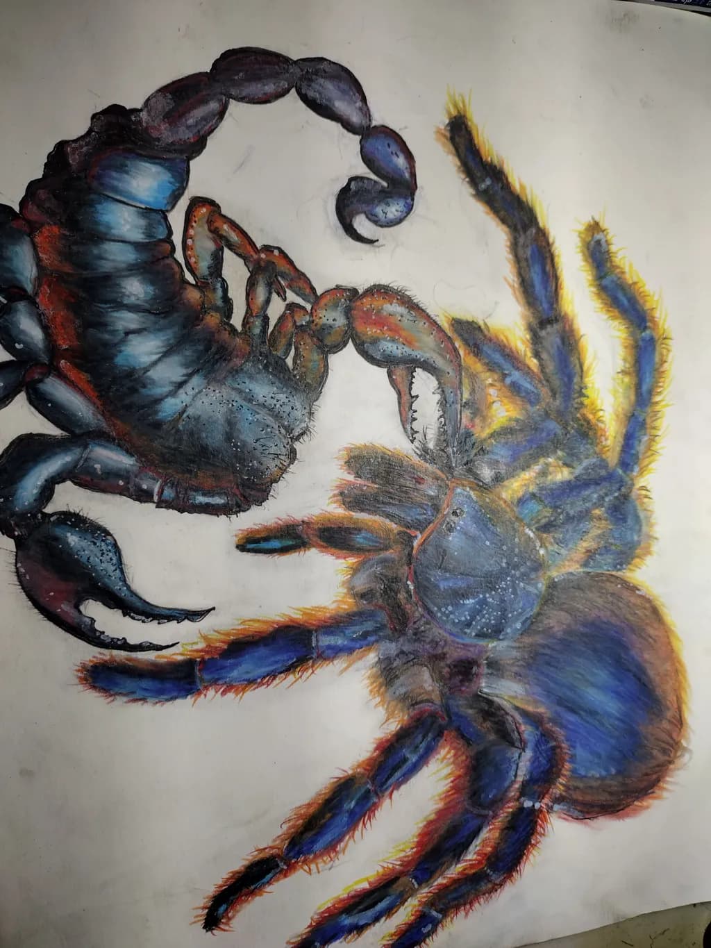 Scorpion and Tarantula Duel