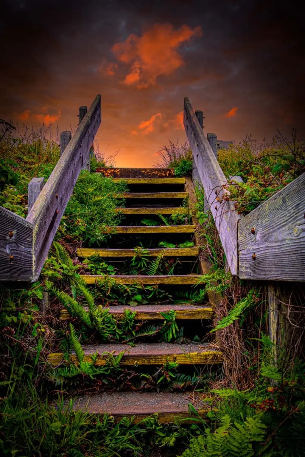 Sunset Stairway