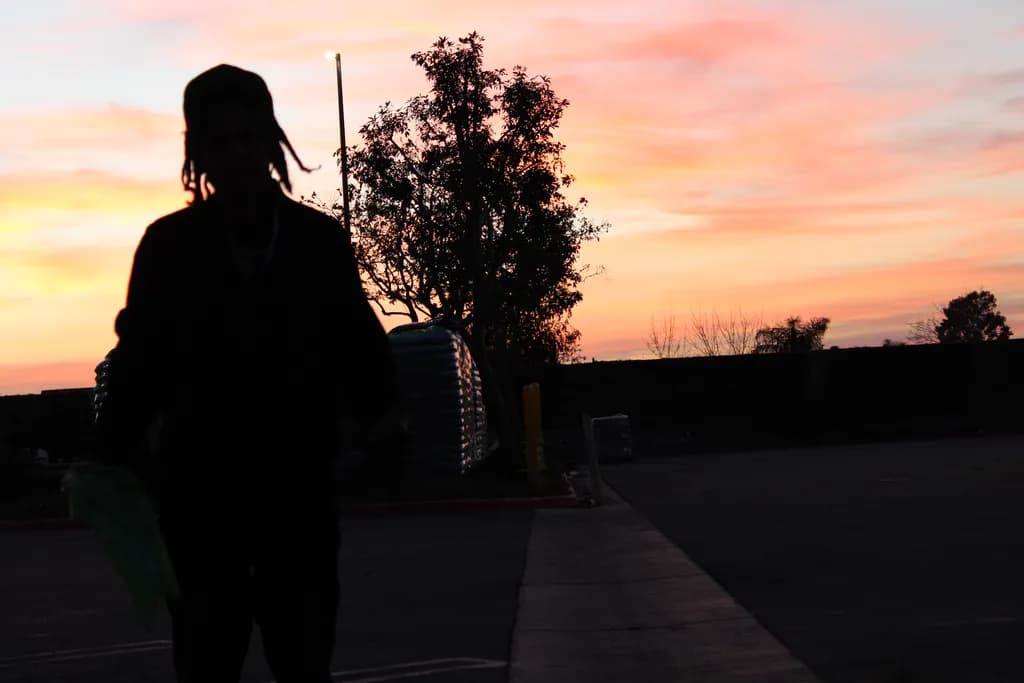 Sunset Tree Silhouette
