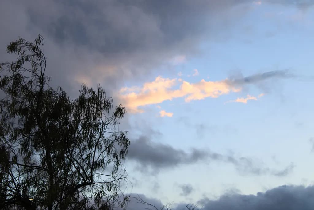 Dusk Sky Silhouette