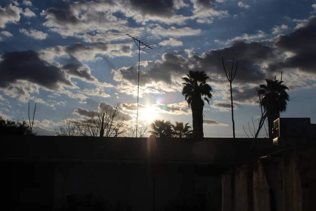 Sunset Silhouettes with Palmtrees