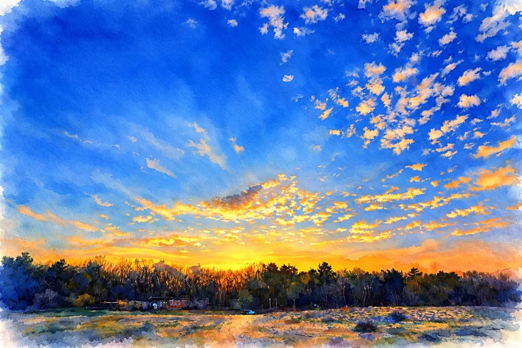Sunset Over Forest Edge