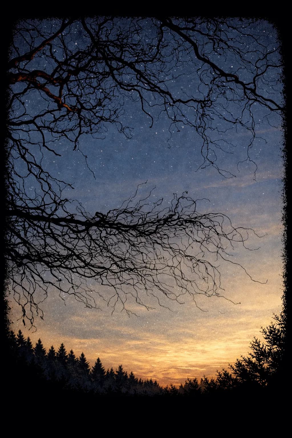 Night Sky Over Trees
