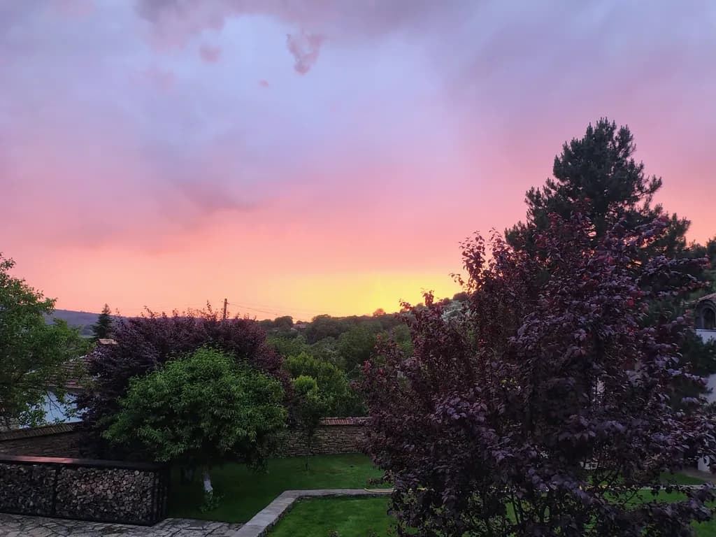 Garden Twilight