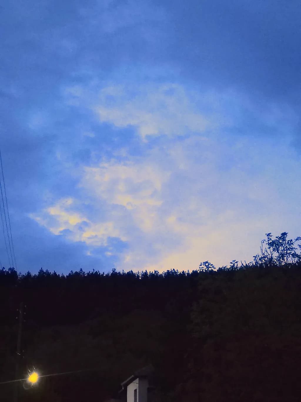 Dusk Sky Over Forest