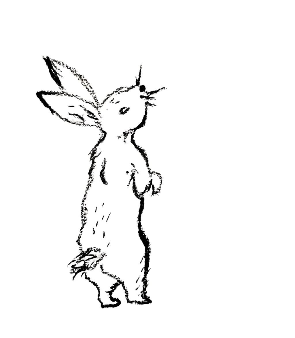 Standing Rabbit Sketch