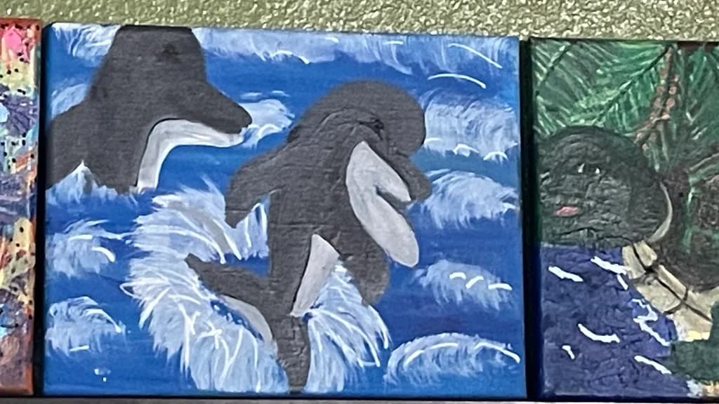 Orca Splash-sold