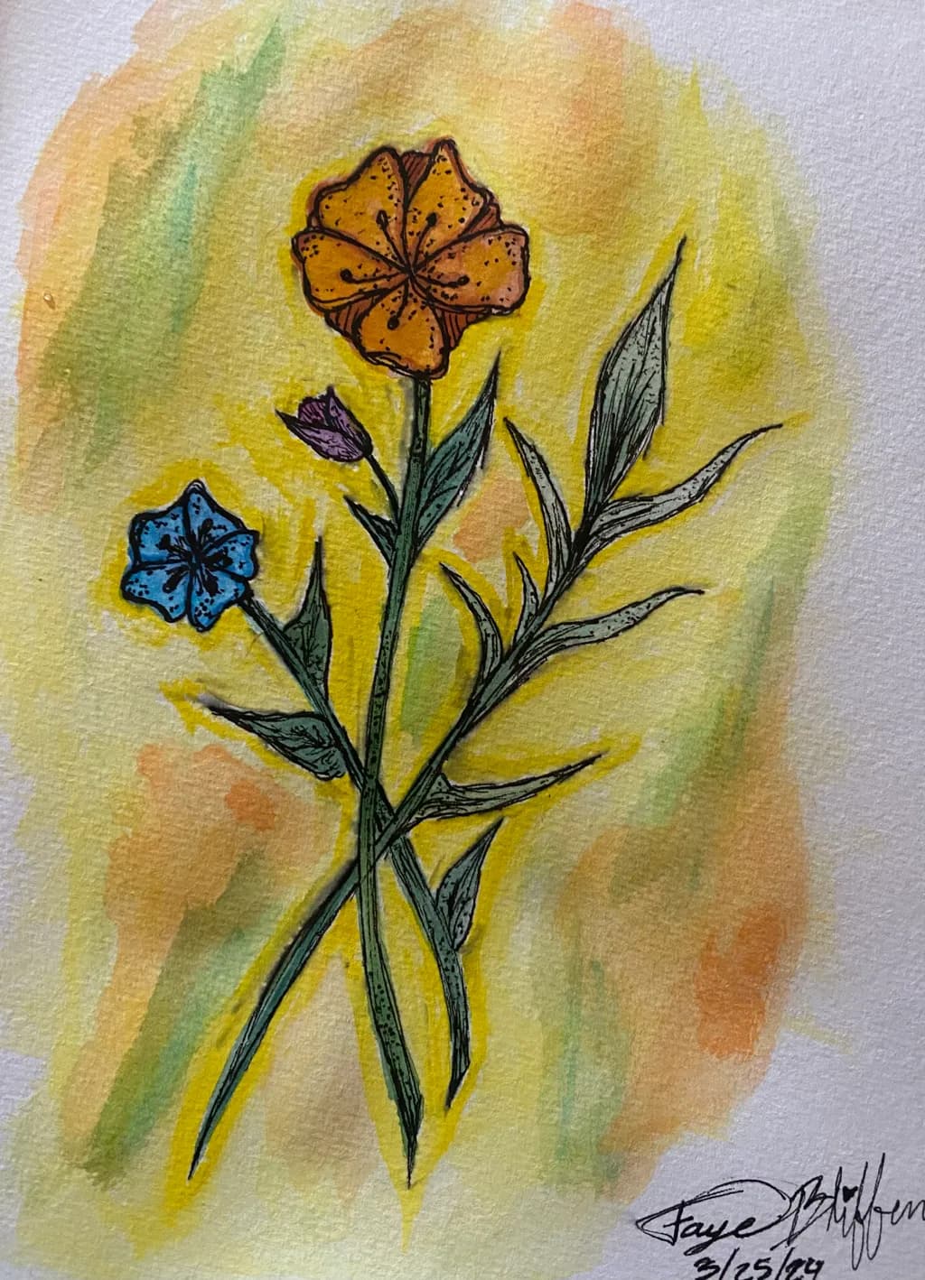 Colorful Wildflowers