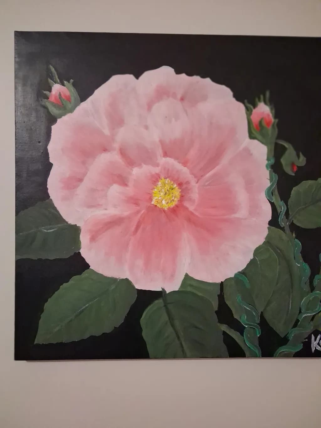 Pink Flower Bloom