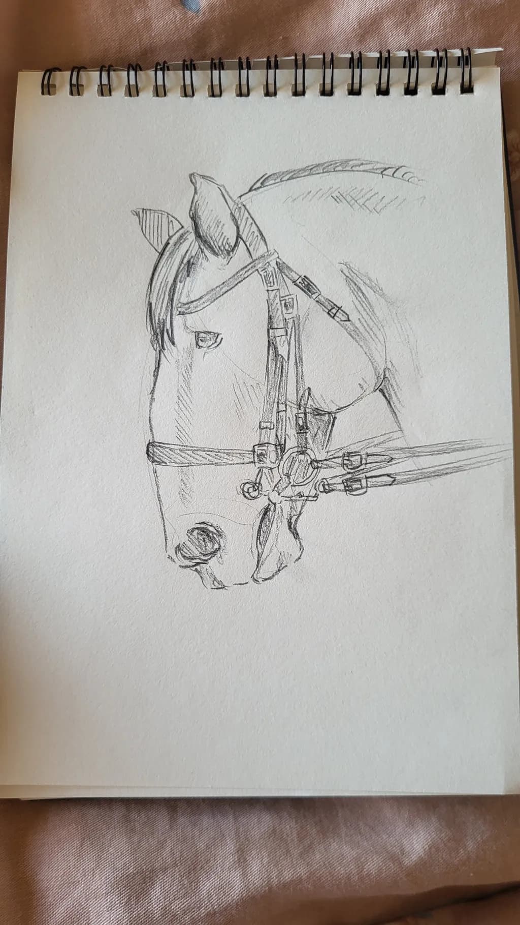 Horse Portrait Sketch