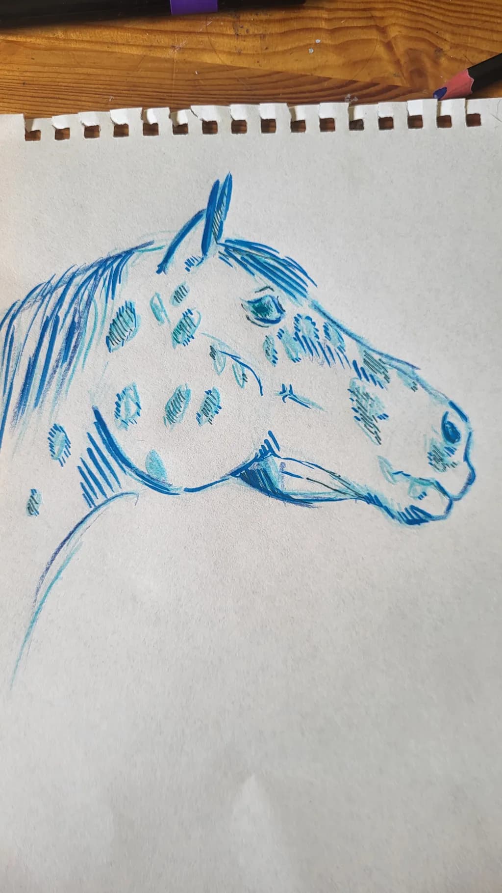 Spotted Horse Profile