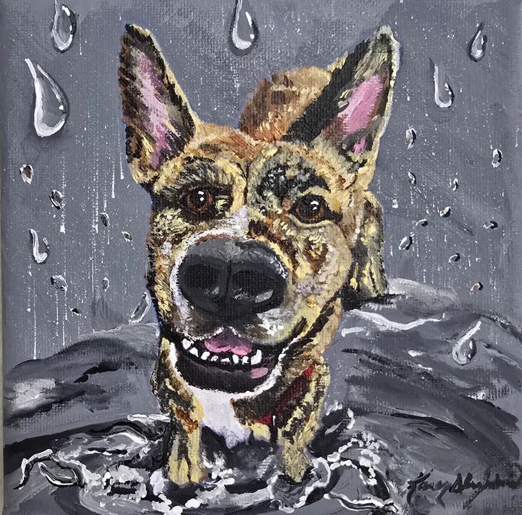 Happy Dog in Rain