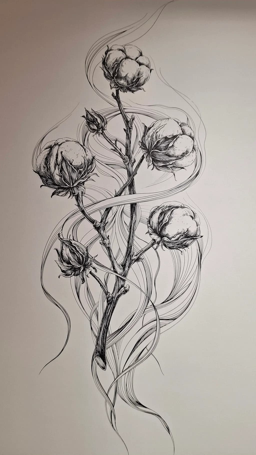 Cotton Branch Flow