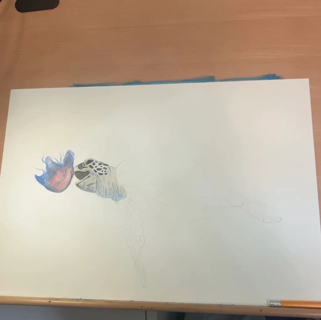Post image 3