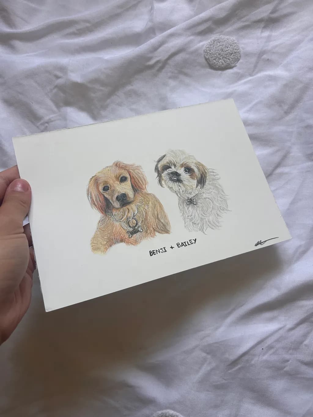 Benji and Bailey Portrait