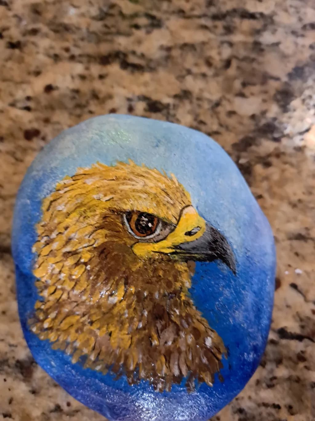 Eagle Portrait on Rock