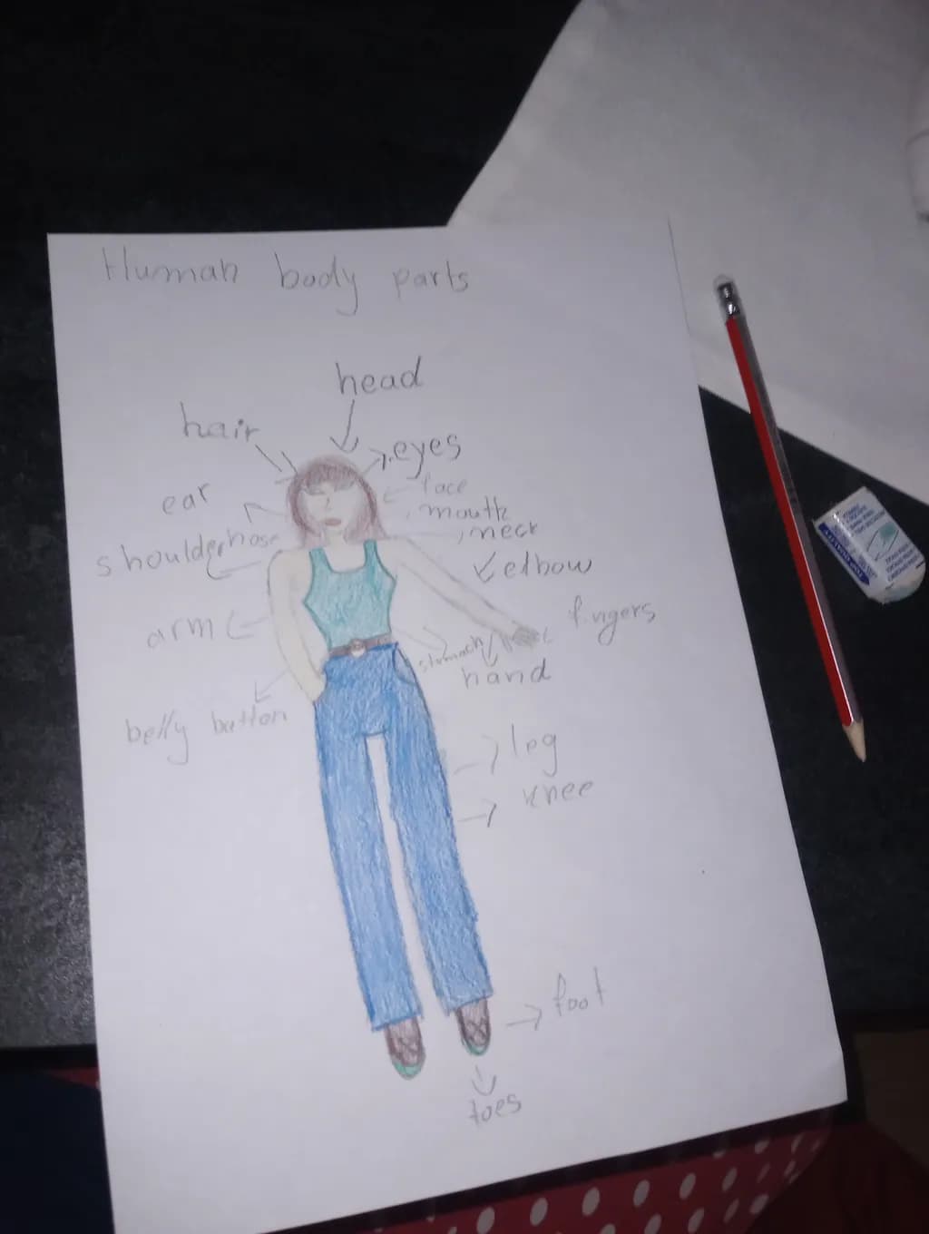 Human Body Parts Diagram