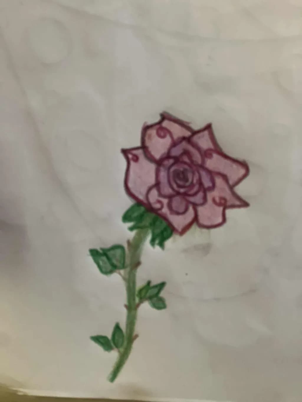 Rose Drawing