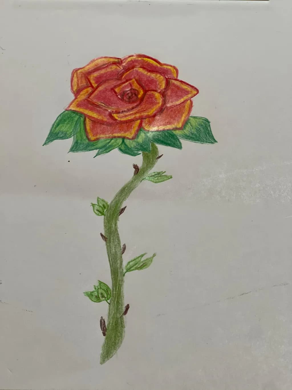 Rose with Stem